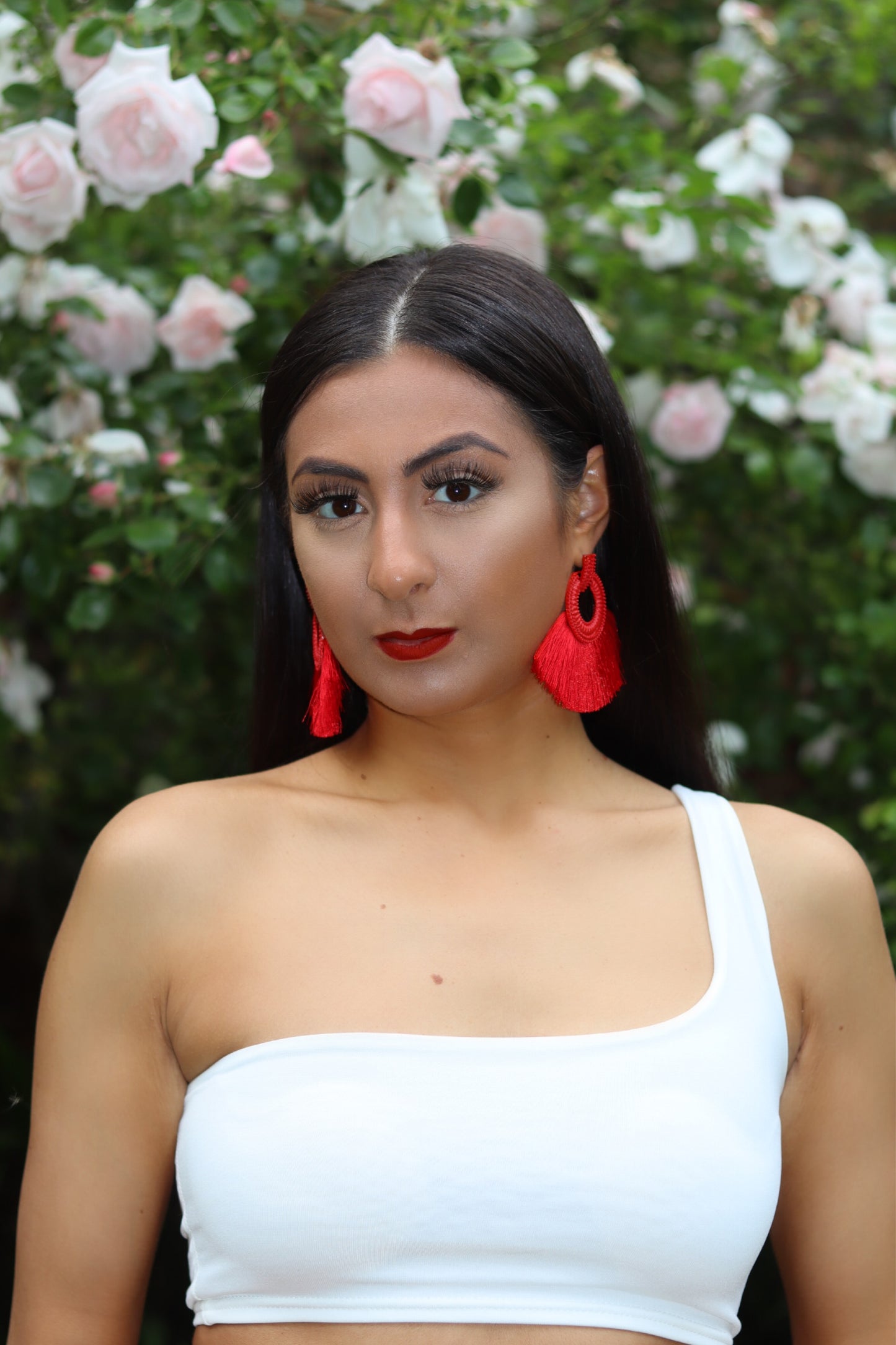 Red Bohemia Tassel Earrings