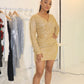 Glitter Dress
